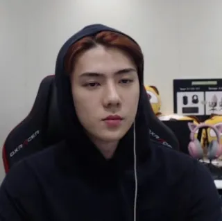 👑 8b577528 Sehun 韩流, 歌手, 名人, EXO, 世勋, 偶像 telegram sticker