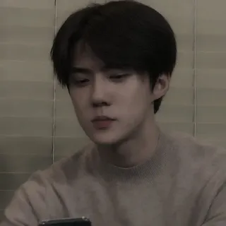 🕸️ 6ee4e8fa telegram sticker