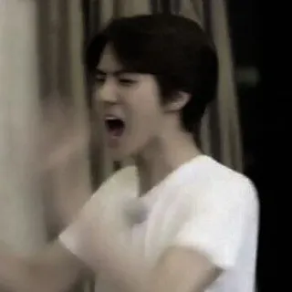 🕸️ 8b78fd19 喊叫, 人, 生气, 表情包, 表情, 震惊 telegram sticker