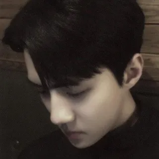 🕸️ a76d4bfe telegram sticker