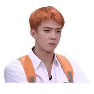 😠 534e4863 Sehun kpop, exo, sehun, penyanyi, selebriti whatsapp sticker