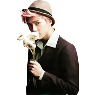 🌺 56985b33 pria, bunga, topi, setelan jas, potret, rambut merah muda whatsapp sticker