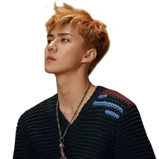 🙄 668afdd8 Sehun Sehun, penyanyi, pria, aktor, K-pop, asia whatsapp sticker