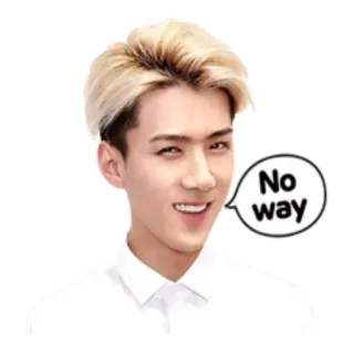 😁 d374965e No way K-pop, Seohun, Penyanyi, Korea, Idol whatsapp sticker
