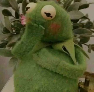 ☺️ 62a284c8 Kermit the Frog เคอร์มิท, กบ, หุ่น, สีเขียว, มัปเพ็ต, นุ่ม telegram sticker