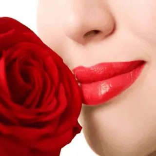 🌟 1614292a rote Rose, Frau, Lippen, Schönheit, Romantik, Blume telegram sticker