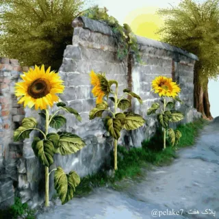 selseleyemoyedos11 telegram stickers