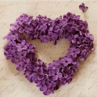 🌟 89144a2b Blumen, Flieder, Herz, Blumenmuster, Lila, Blüte, Natur telegram sticker