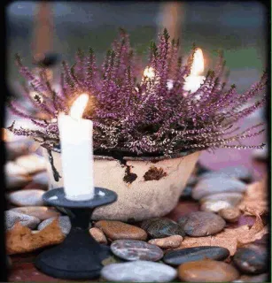 🌟 8ff96d2c kerze, heidekraut, blumen, felsen, stillleben, deko telegram sticker