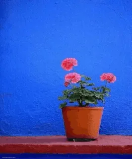 selseleyemoyedos11 telegram stickers