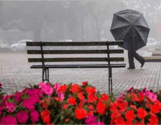 selseleyemoyedos11 whatsapp stickers