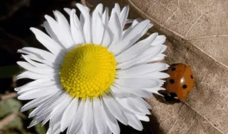 selseleyemoyedos11 telegram stickers