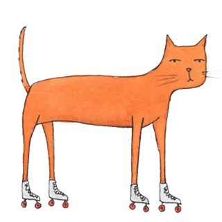 🐈 7ea84051 猫, 轮滑鞋, 动物, 搞笑, 橙色, 插画 telegram sticker
