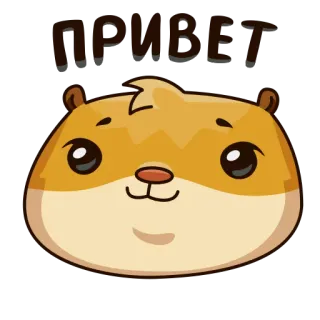 😌 49ff7cfb ПРИВЕТ Hamster, Gruß, niedlich, Cartoon, Tier whatsapp sticker