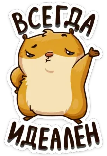 😇 1bb12309 ВСЕГДА
ИДЕАЛЕН ハムスター, 可愛い, 動物, げっ歯類, 漫画, 完璧 telegram sticker