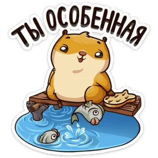 ❤ 3e0b869c Ты особенная ハムスター, 可愛い, 釣り, 動物, ロシア telegram sticker