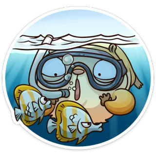 Лето с Сеней @TgSticker telegram stickers