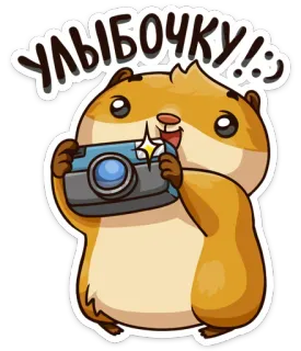 📸 93672a0f УЛЫБОЧКУ! : ハムスター, カメラ, 笑顔, ハッピー, 動物, 漫画 telegram sticker