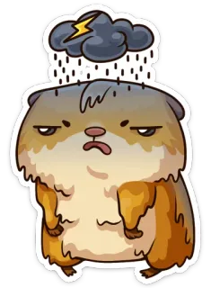 Лето с Сеней @TgSticker telegram stickers