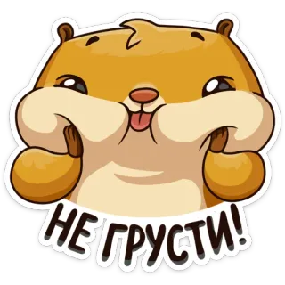 😛 cd41954f НЕ ГРУСТИ! ハムスター, 可愛い, ステッカー, 漫画, 動物, 面白い telegram sticker