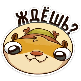 🙄 f687c272 Ждёшь? 卡通, 动物, 可爱, 俄语, 问题, 贴纸 telegram sticker