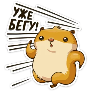 🏃 2070f539 Уже бегу! hámster, dibujos animados, corriendo, lindo, animal telegram sticker