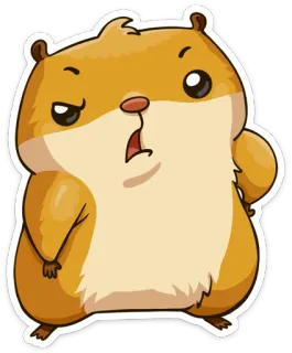 😠 893e81a7 hámster, animal, lindo, dibujos animados, divertido, pegatina telegram sticker