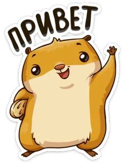 👋 9a48317c ПРИВЕТ hámster, lindo, hola, saludo, animal, dibujo animado telegram sticker