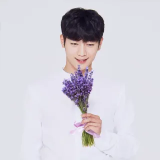 💐 7d5d5b82 lavanda, fiori, uomo, bouquet, ritratto telegram sticker