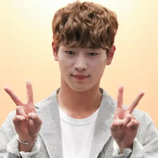 ✌️ f00548db uomo, persona, coreano, celebrità, attore, cantante telegram sticker