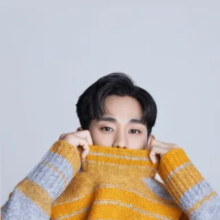 🤭 9e90a3e6 portrait, homme, pull, col roulé, asiatique telegram sticker