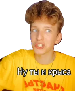 🐭 c4b813e1 Ну ты и крыса 人, 面部表情, 贴纸 telegram sticker