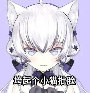 🐱 59d2d6b4 垮起个小猫批脸 Anime, Gadis kucing, Teks Cina, Rambut putih, Lucu, Kartun whatsapp sticker