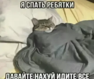 😌 412041ac Я СПАТЬ РЕБЯТКИ
ДАВАЙТЕ НАХУЙ ИДИТЕ ВСЕ gato, cama, dormir, ruso, meme, gracioso, ofensivo, animales whatsapp sticker