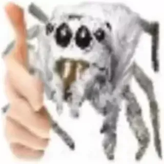 Ебланские наклеечки от @Sergo_macro whatsapp stickers