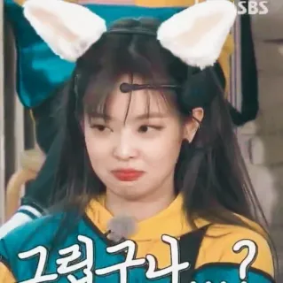 🦁 6df10030 그렇구나...? coreano, persona, donna, orecchie da gatto, domanda telegram sticker