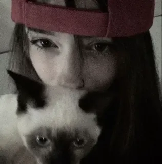 🥺 8127e23f 사람, 고양이, 셀카, 여자, 동물, 애완 동물 telegram sticker