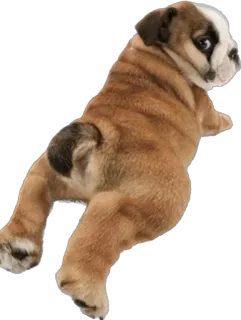 Больше стиков тут: @stikery4 whatsapp stickers