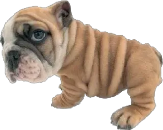 Больше стиков тут: @stikery4 whatsapp stickers