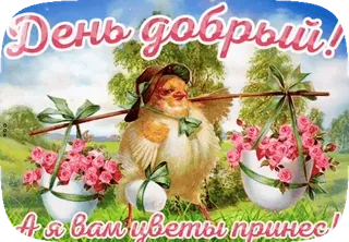 🐦 0f5f3aea День добрый! А я вам цветы принес! 닭, 꽃, 인사말, 봄, 장미, 동물, 자연 telegram sticker