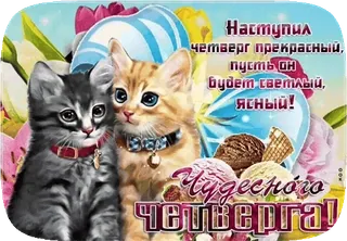 😼 ba8041ad Наступил четверг прекрасный, пусть он будет светлый, ясный! Чудесного четверга! 고양이, 새끼 고양이, 아이스크림, 텍스트, 인사말, 목요일 telegram sticker