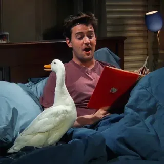 🦆 bdd3cae2 Chandler Bing Friends Friends, Chandler Bing, eend, TV serie, komedie, 90s sitcom telegram sticker