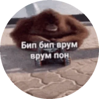 🌟 10028234 Бип бип врум врум пон orangotango, carrinho de brinquedo, macaco, texto russo, animal, veículo telegram sticker