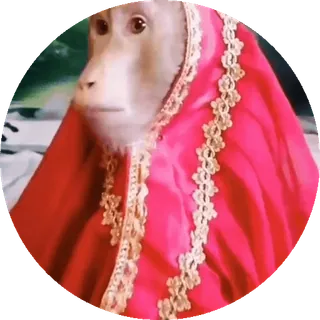 Больше стиков тут: @stikery4 whatsapp stickers