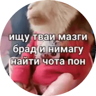 Больше стиков тут: @stikery4 telegram stickers