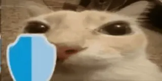 🛡 560f79e0 kucing, hewan peliharaan, binatang, lucu, perisai, meme whatsapp sticker