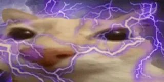 ⚡ 6594d7fe kucing, petir, lucu, hewan, meme whatsapp sticker