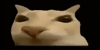 😐 9886484a kucing, meme, hewan, lucu, peliharaan, beluga whatsapp sticker