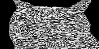 😵‍💫 98fee6db kucing, binatang, hitam putih, abstrak whatsapp sticker