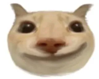 😀 dd84170d kucing, hewan, meme, lucu, aneh, kucing tersenyum whatsapp sticker